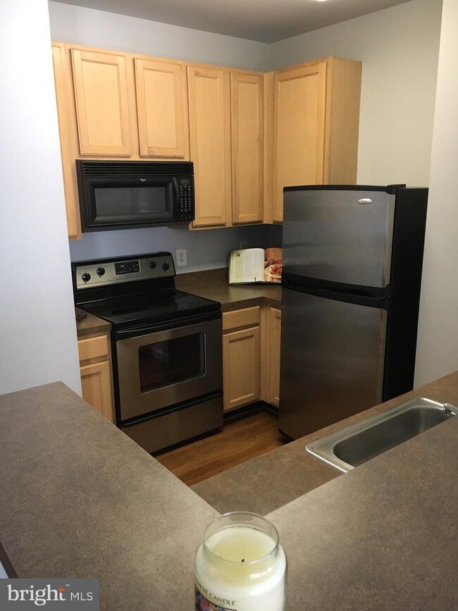 22655 Blue Elder Terrace unit 303, Ashburn, VA 20148 - photo 5