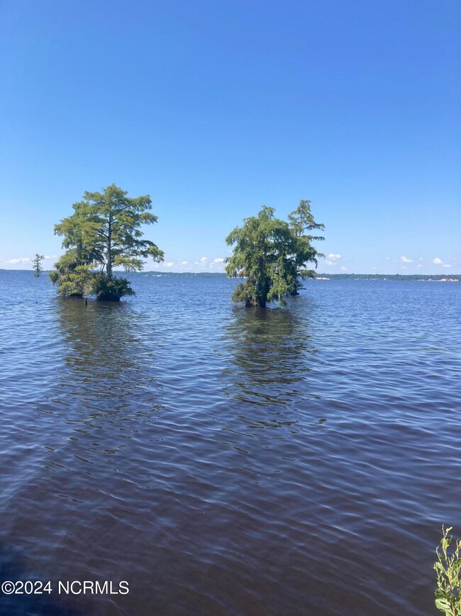 3047 Bass Landing Rd, Edenton, NC 27932 - photo 5