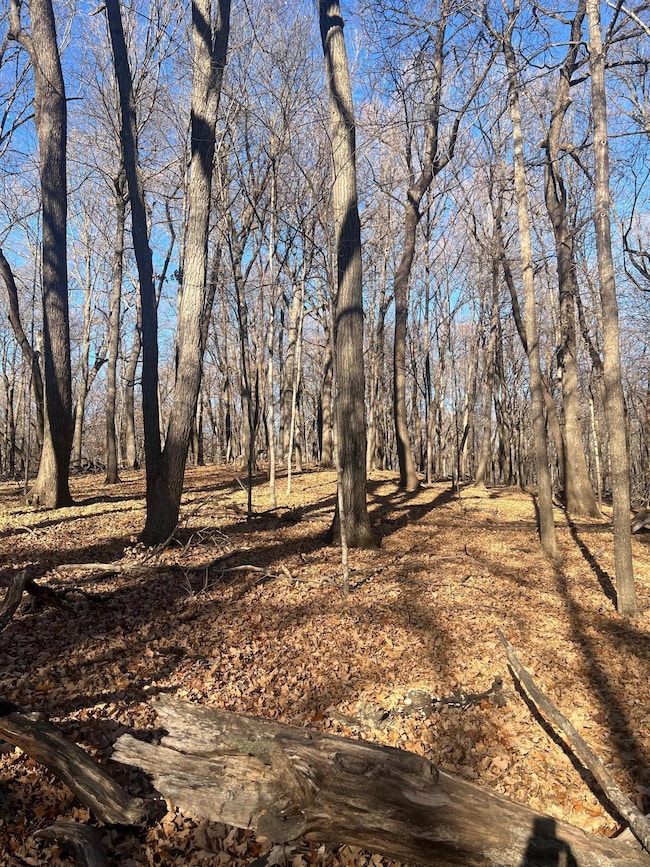 TBD Moe Hall Rd NW, Moe Township, MN 56332 - photo 3