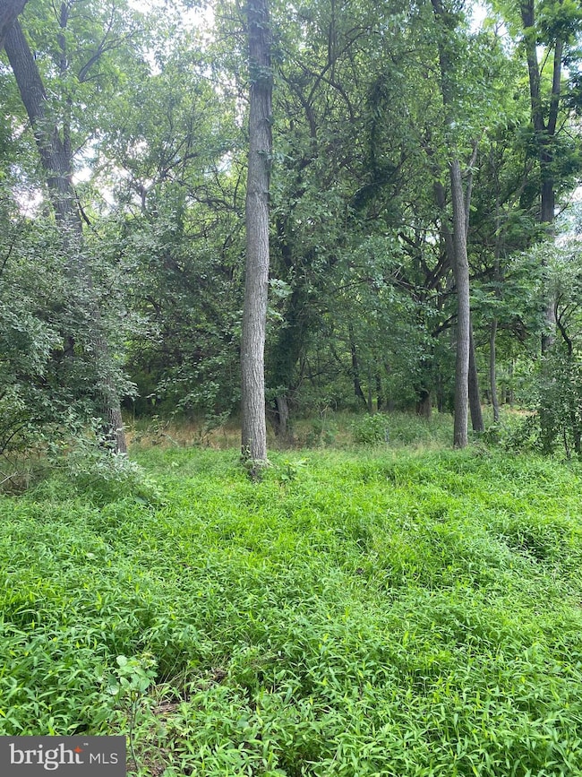 Lot 3 Amtower Way, Harpers Ferry, WV 25425 - photo 7