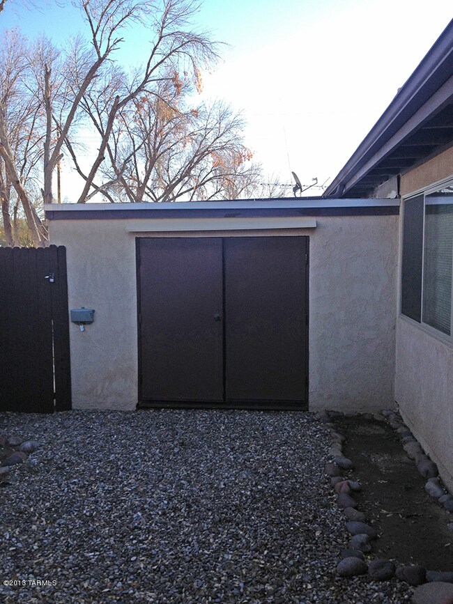 Back Yard Storage -1674196873@photo