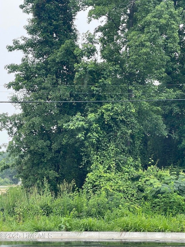 1502 Erwin Rd, Dunn, NC 28334 - photo 3