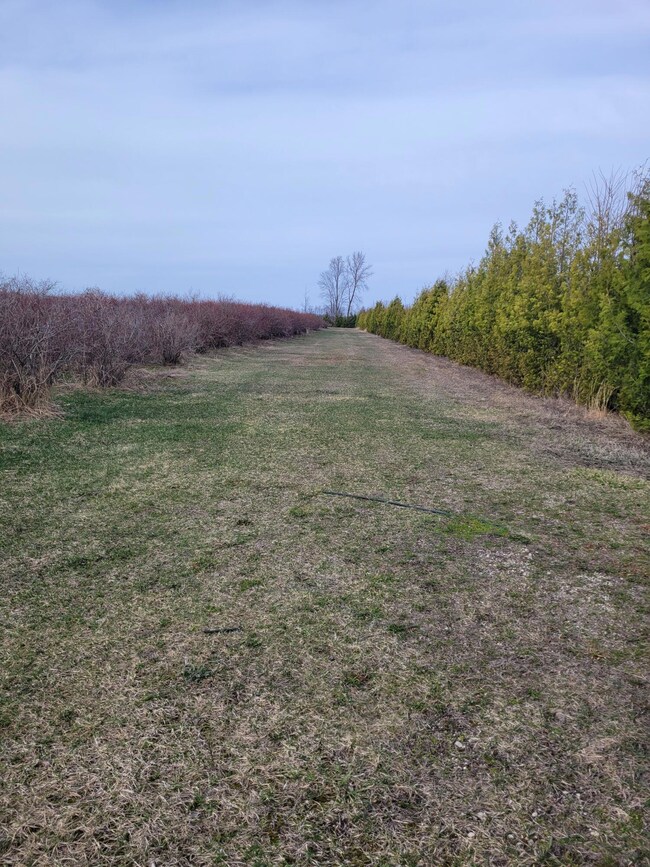 V/L 72nd St, Covert, MI 49043 - photo 5