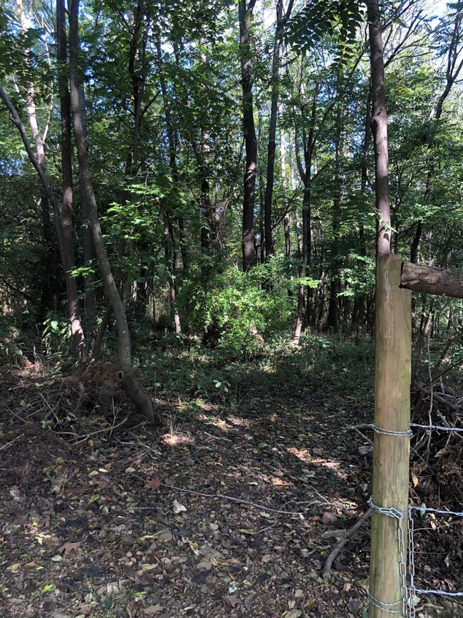 72 Saddle Ridge Dr, Siler City, NC 27344 - photo 3