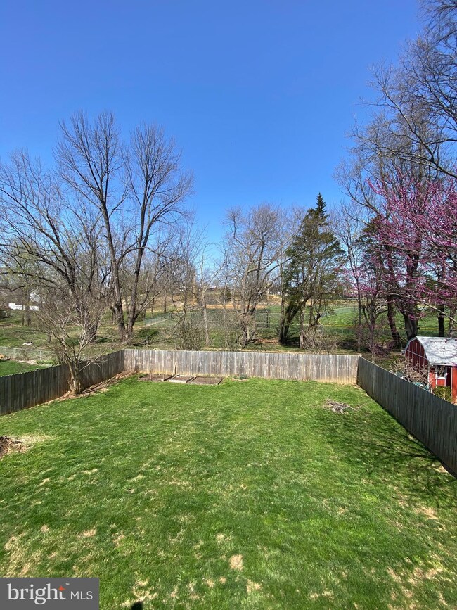 367 W 11th St, Front Royal, VA 22630 - photo 4