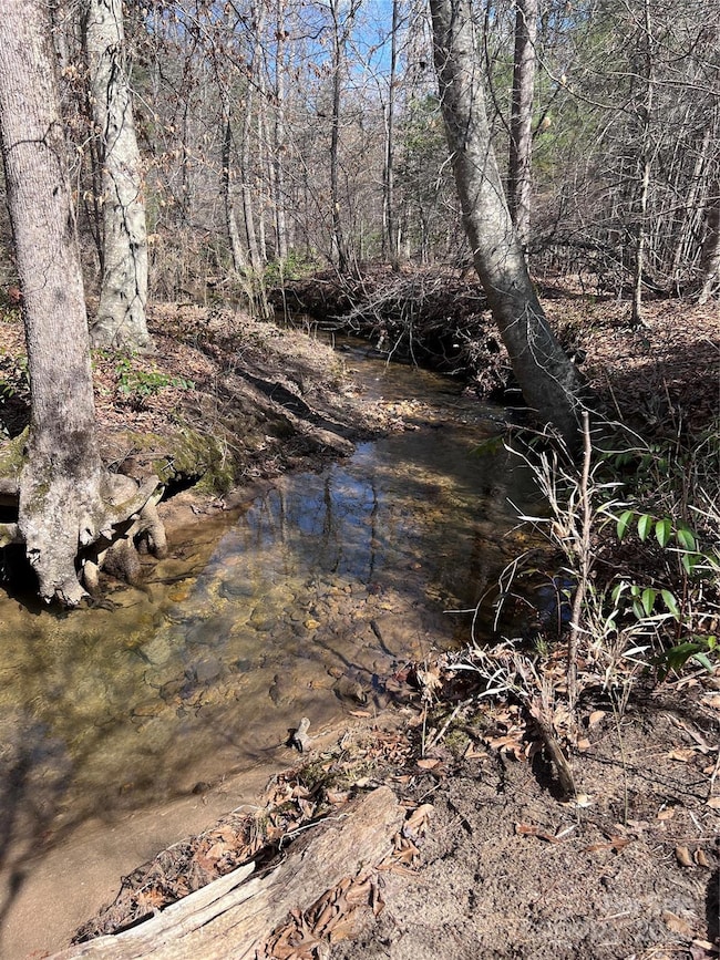 Tract 1 Holbert Cove Rd, Mill Spring, NC 28756 - photo 6