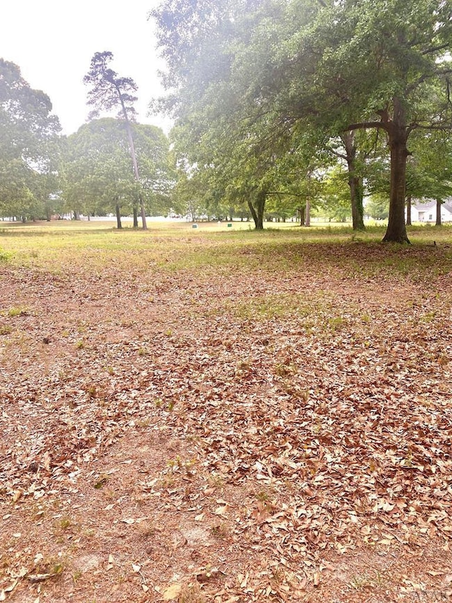 Street Frontage View