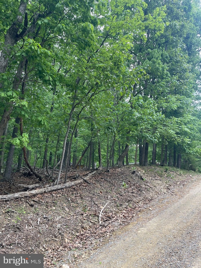 Lot 24 Maple Ln, Bluemont, VA 20135 - photo 4