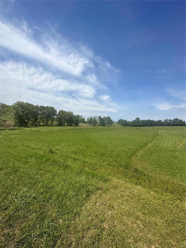 0 Eli Dr unit 23055118, Jackson, MO 63755 - photo 2