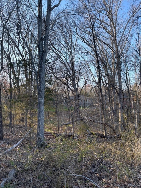 Lot 40 Block 2 Airton Cir, Bella Vista, AR 72715 - photo 2