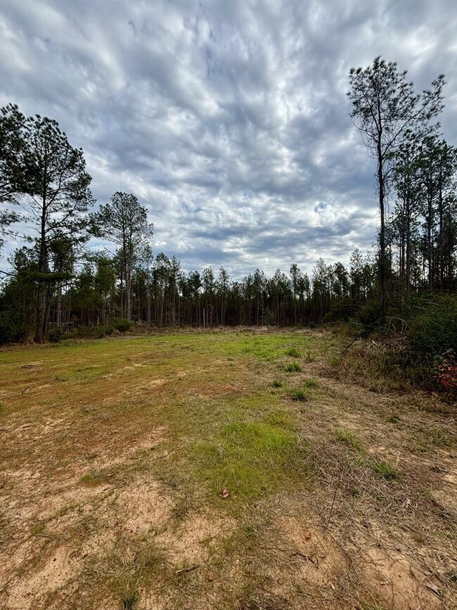 tbd Wall St, Osyka, MS 39657 - photo 3