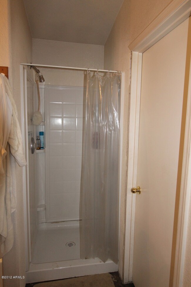 MASTER SHOWER
