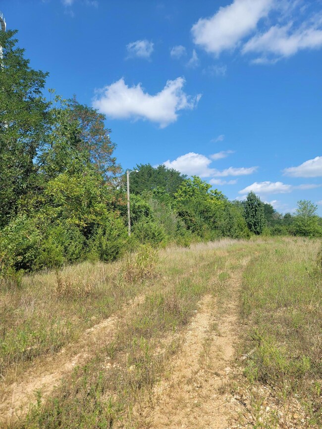 00 N Orchard Blvd, Fair Grove, MO 65648 - photo 3