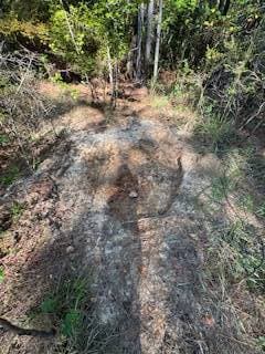 1807 N Sappa Rd, Eupora, MS 39744 - photo 4