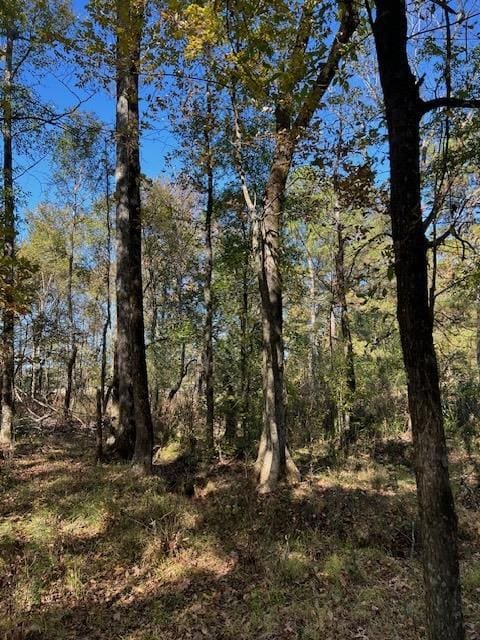 196 Deer Valley Cir, Broken Bow, OK 74278 - photo 6