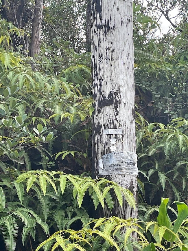 11-2889 Kaleponi Rd, Volcano, HI 96785 - photo 6