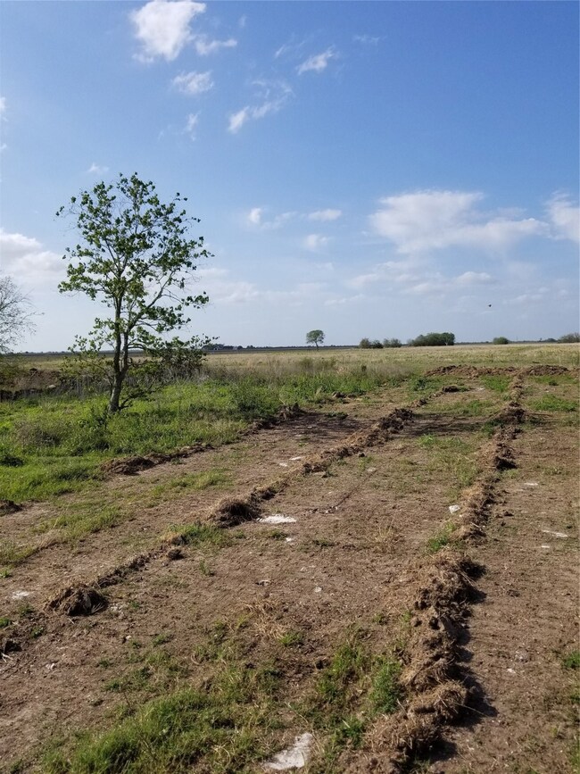 0 Randon Dyer Rd unit 72431967, Rosenberg, TX 77471 - photo 7