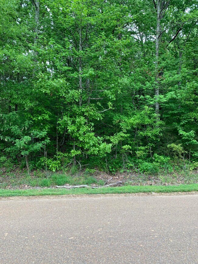 0 S Old Hwy 51 unit 2335199, Hernando, MS 38632 - photo 3