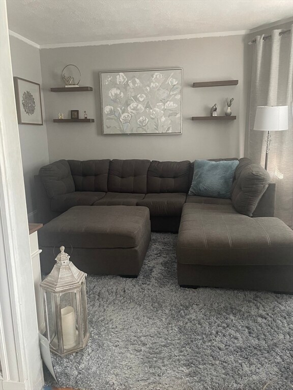 21 Walter St unit 1, Roslindale, MA 02131 - photo 5