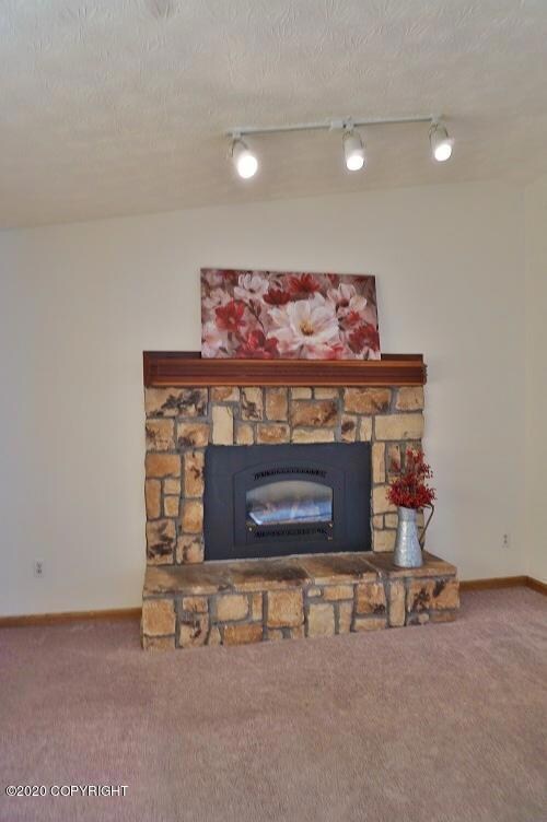 Gas insert fireplace
