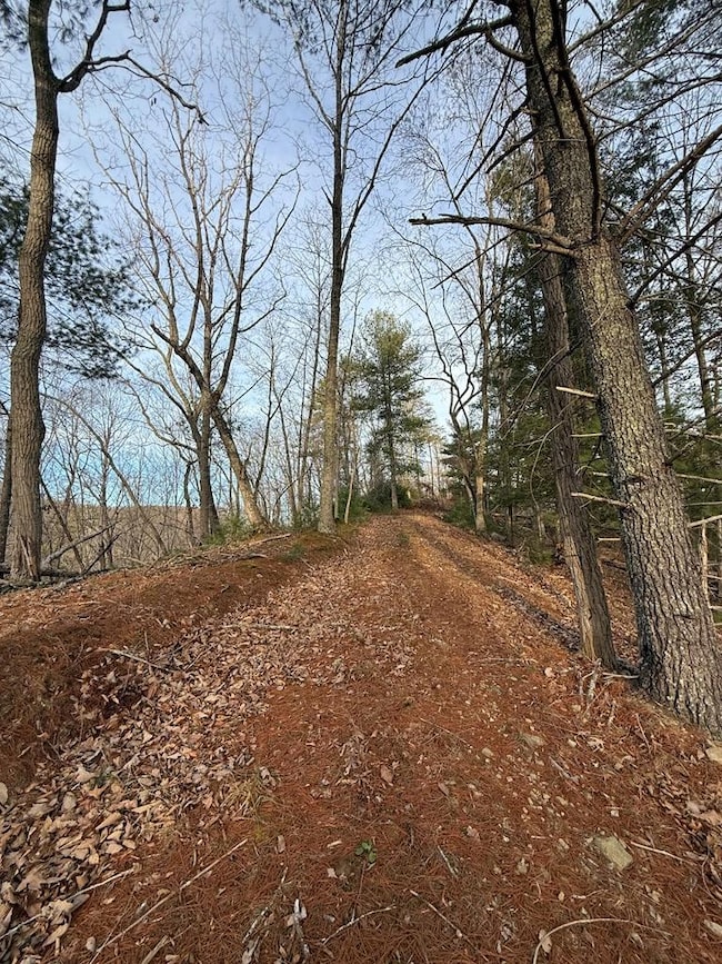 0 Seneca Trail S unit 55718, Lindside, WV 24951 - photo 5