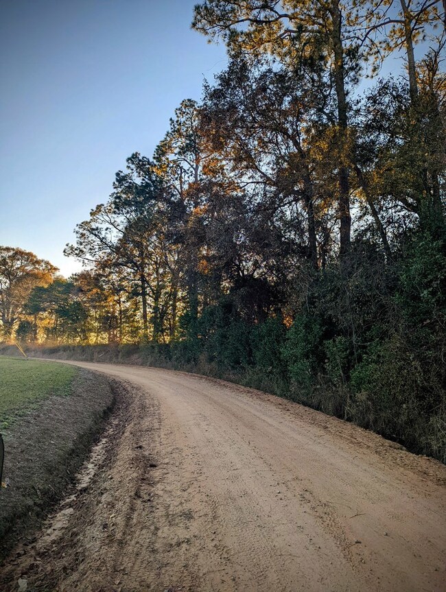 Russell Smith Road Looking South