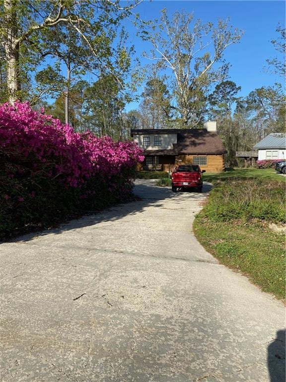 Blooming Azaleas