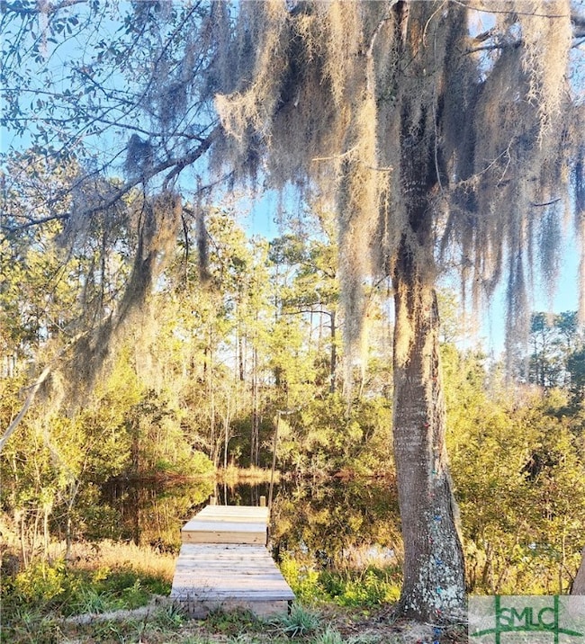 1305 Jim Truesdell Rd SE, Darien, GA 31305 - photo 6