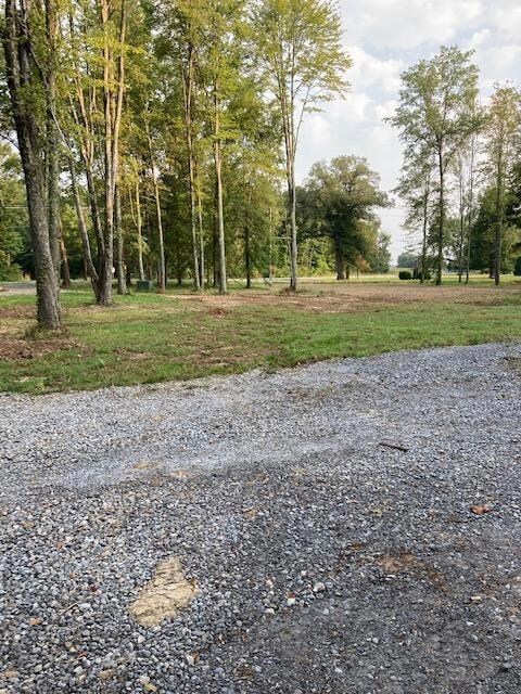 4176 Park Rd, Perry Township, OH 45118 - photo 2