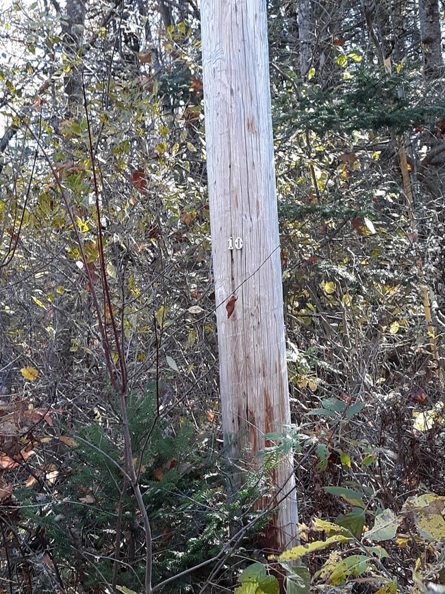 20191024_112154