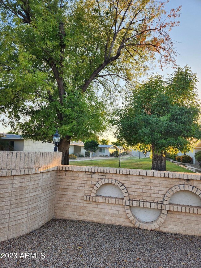 17214 N 105th Ave, Sun City, AZ 85373 - photo 3