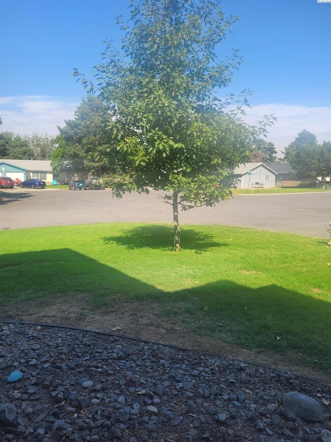 910 S Johnson St, Kennewick, WA 99336 - photo 4