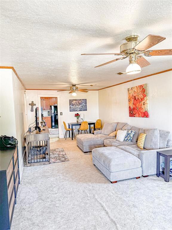 Living room featuring a textured ceiling, carpet f
