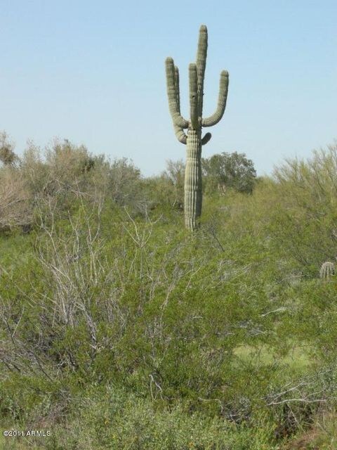 Nice lot with high desert vegetation