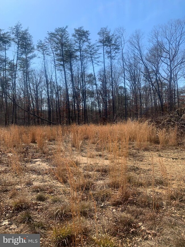 Lot C1 Cox Mill Rd, Orange, VA 22960 - photo 3