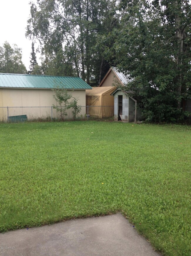 Backyard