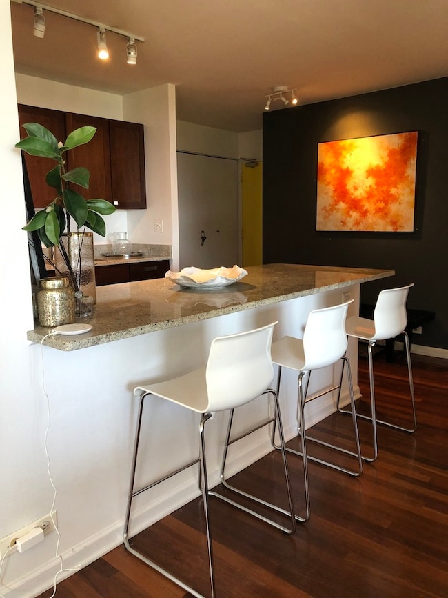 Pearson on the Park Condos unit 702, Chicago, IL 60611 - photo 7