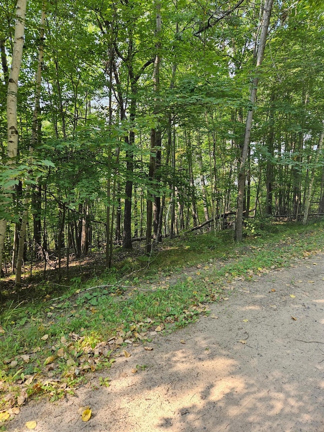 Lots 41-43 Catskill Dr, Breezy Point, MN 56472 - photo 2