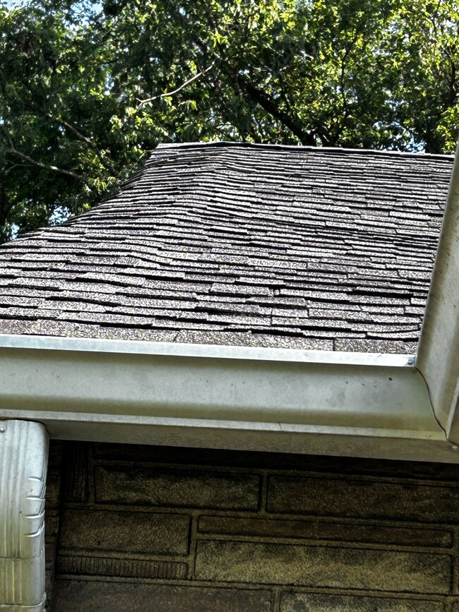 Roof Line