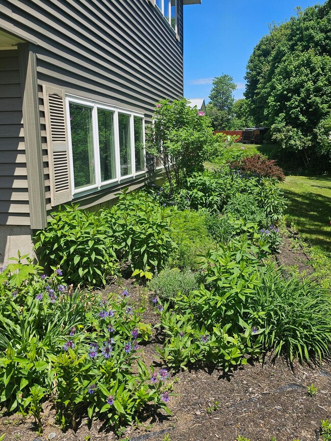 33 Maple St, East Millinocket, ME 04430 - photo 3