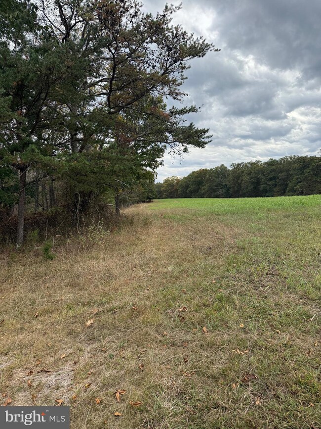 0 Posey Hollow unit WVMO2007026, Berkeley Springs, WV 25411 - photo 6