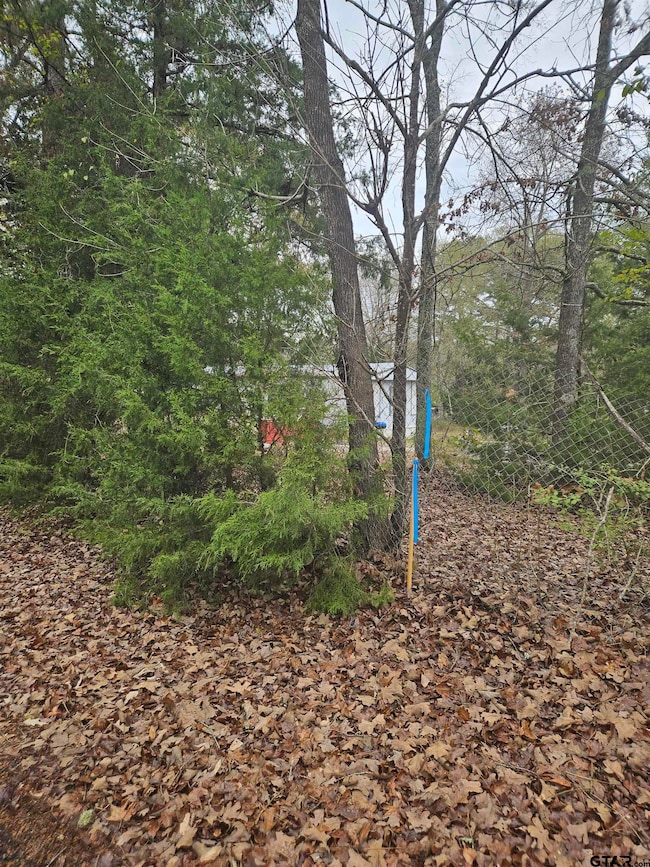 644 County Road 1519, Jacksonville, TX 75766 - photo 5