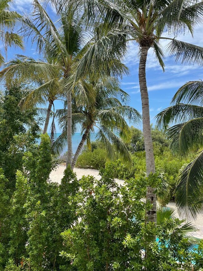 View from Master Bedroom