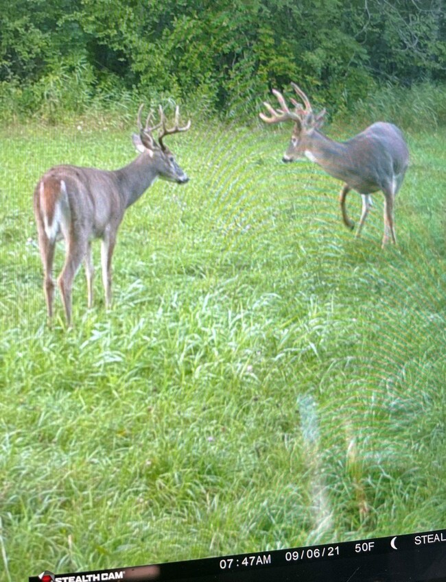 19320 211th Ave, Long Prairie, MN 56347 - photo 2