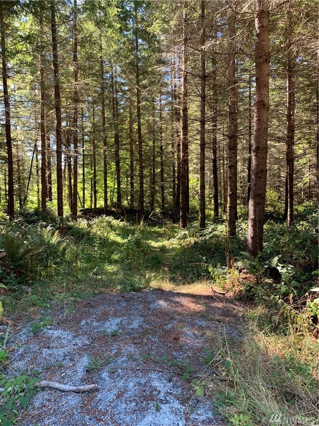 18520 250th Ave E, Orting, WA 98360 - photo 2