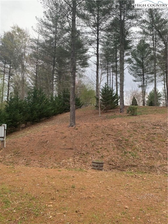 Added to Property Lines on both sides - Leyland Cy