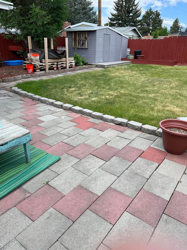 Backyard2