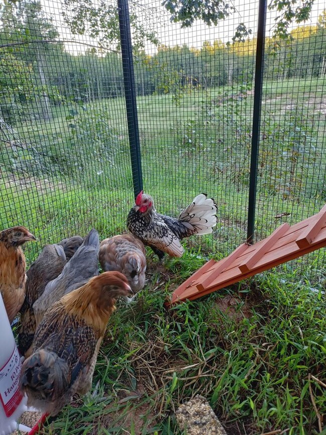 0 Mountain Creek Rd unit 9 57624, Prince Edward, VA 23942 - photo 4