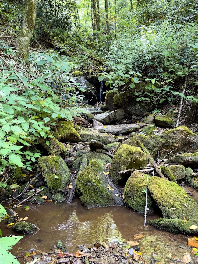 Lot 59 Black Rock Rd unit 59, Cherokee, NC 28719 - photo 5