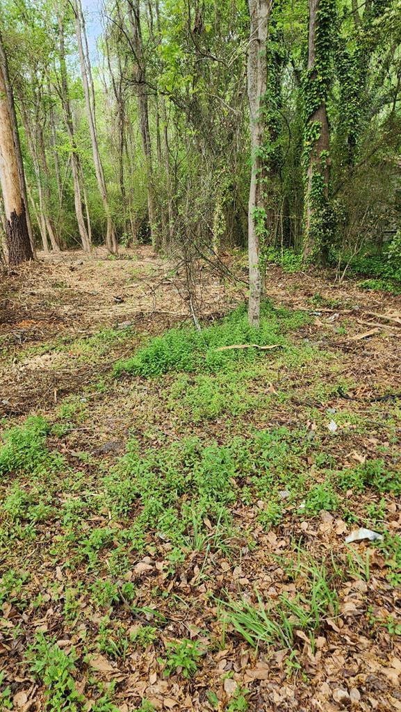 120 Joyner, Eastover, SC 29044 - photo 7